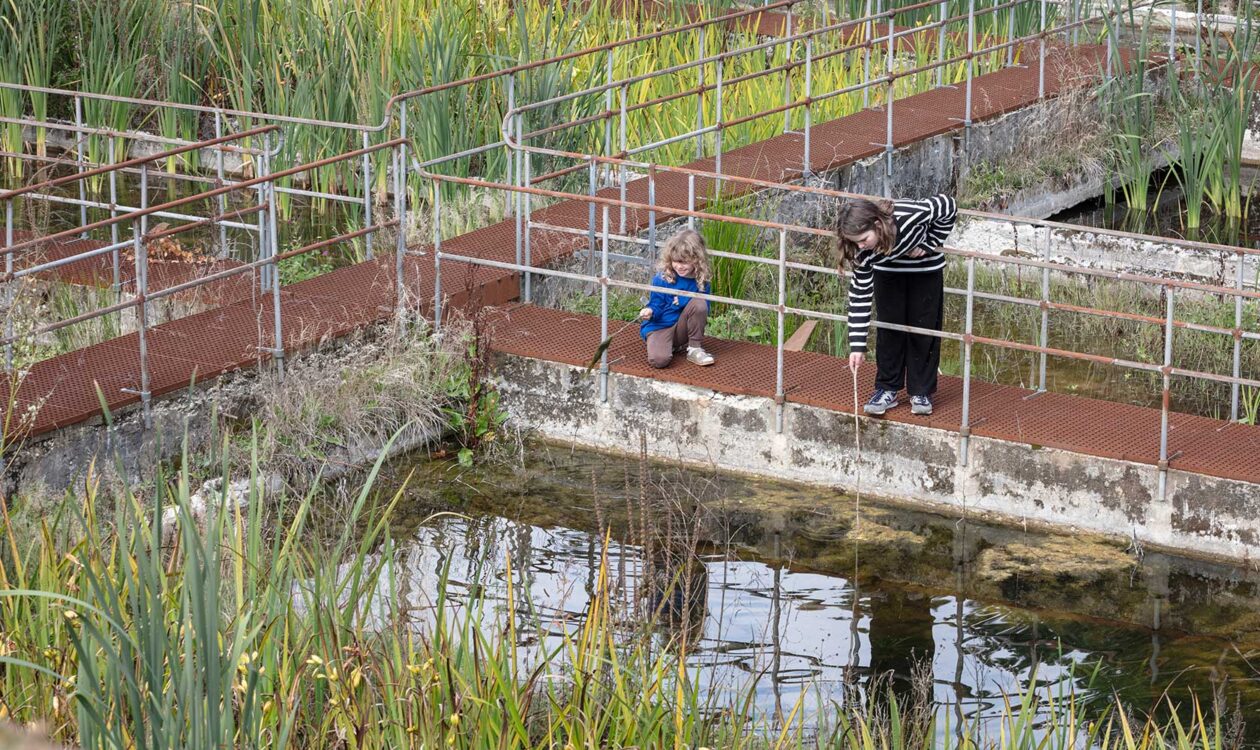 Ålebækken Ruinpark