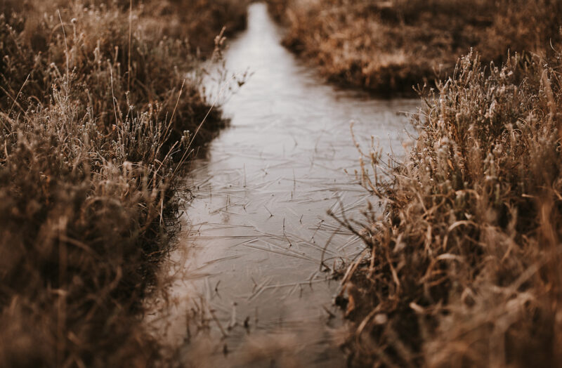 Kystsikring af Solrød Kommune