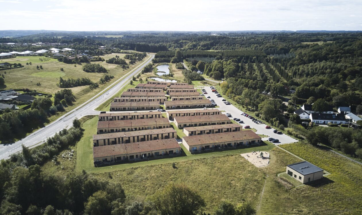 Sommerfugleengen fra oven