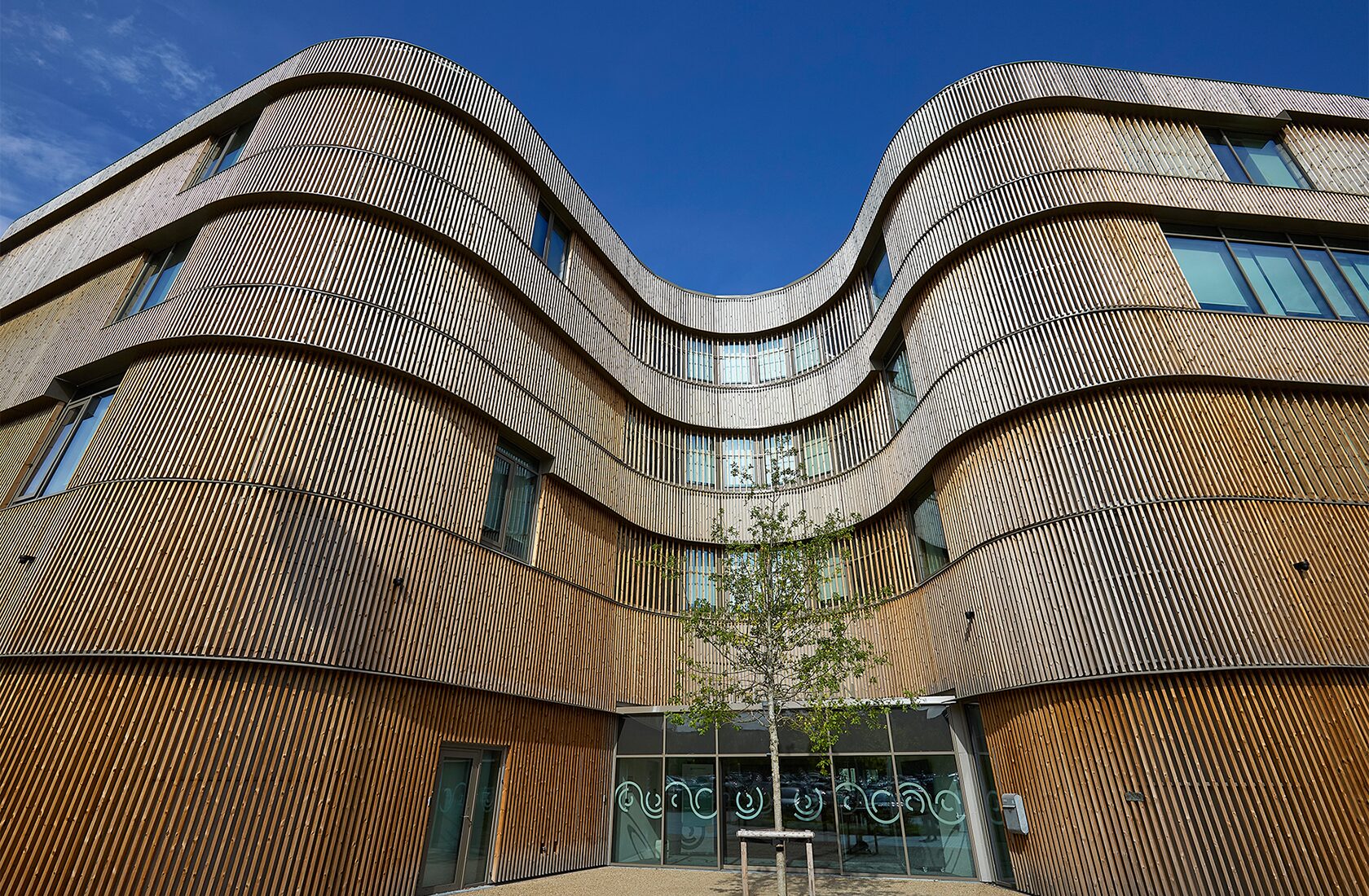 Moderne bygning med bølgende træfacade og store vinduer mod en klar blå himmel.