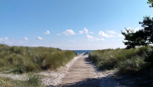 Klima- og kystbeskyttelse - Sweco Danmark