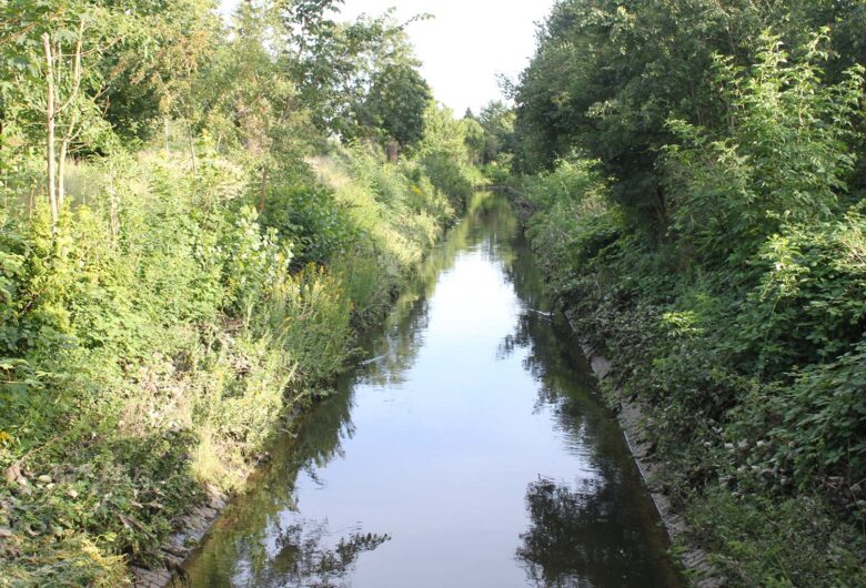 Naturskønt vandløb omgivet af frodig grøn vegetation på en solrig dag.