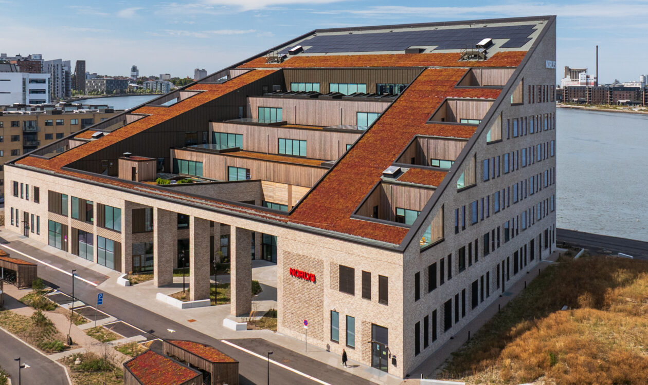 norlys aalborg