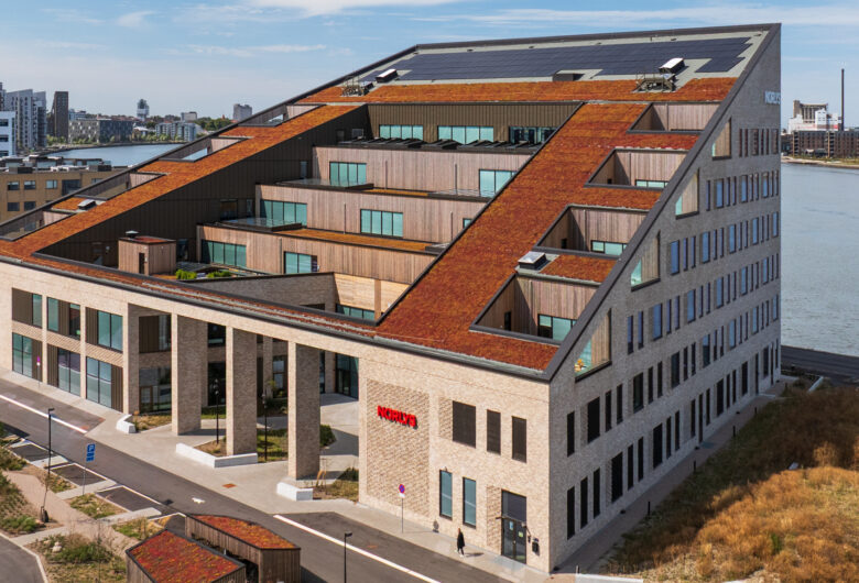 norlys aalborg